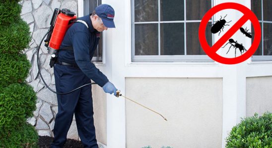 Kütahya Dezenfeksiyon böcek ilaçlama ve haşere kontrolü — ilaclama-tr.com